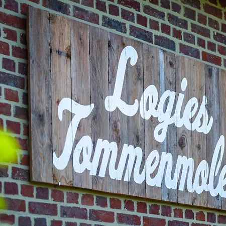 Logies Tommenmolen Apartment Grimbergen Bagian luar foto