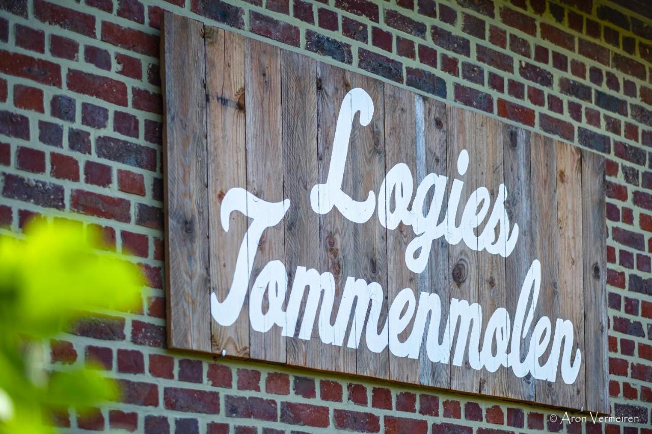 Logies Tommenmolen Apartment Grimbergen Bagian luar foto